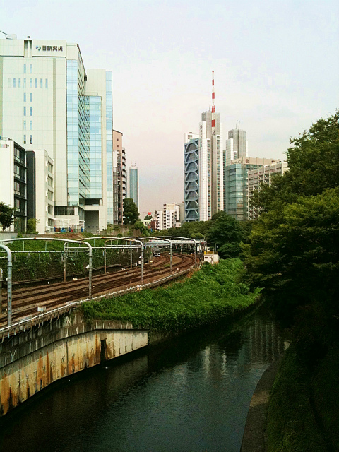 東京5